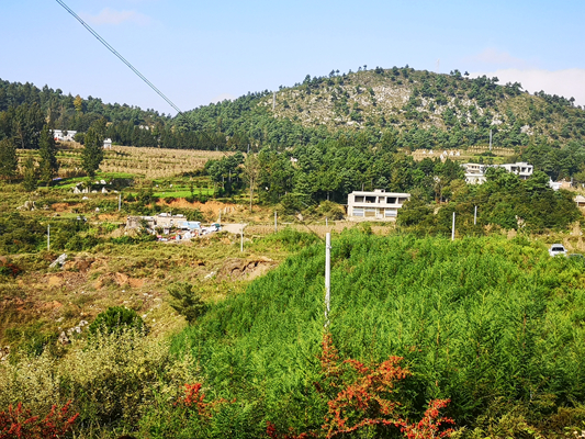 金钟镇垃圾填埋场整改后_副本