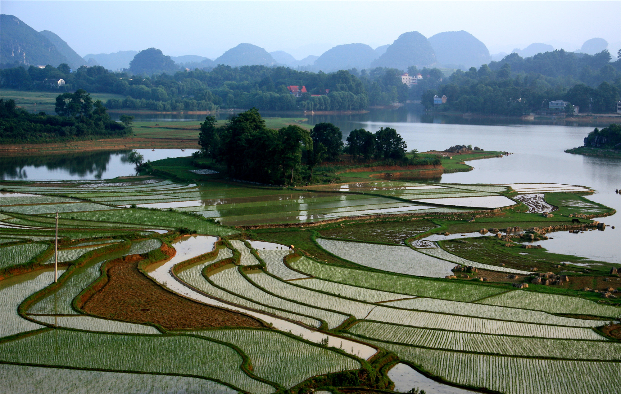 白水明田外，碧峰出山后